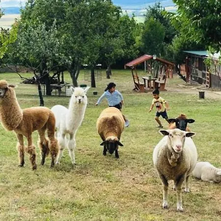 Ferienhaus Sofia Szeretet Farm Es Vendeghaz *
